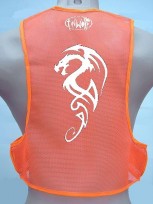 dragon1 back orng